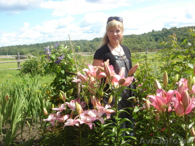 офис-менеджер работа на дому - Изображение #1, Объявление #894184