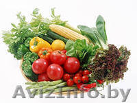 теплицы для садоводов - Изображение #1, Объявление #1025062