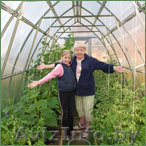 Современные дачные теплицы из сотового поликарбоната - Изображение #1, Объявление #1025068