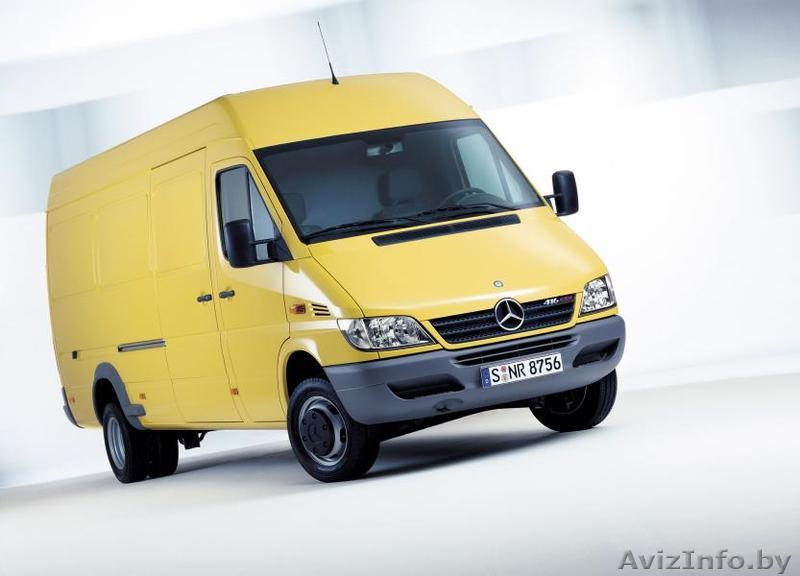 8029 842 42 42 vel - Изображение #1, Объявление #1161720