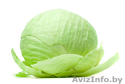 Капуста урожай 2015, опт - Изображение #1, Объявление #1338662
