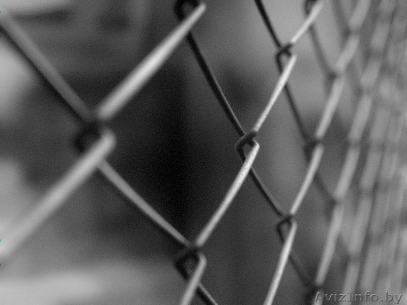 Сетка рабица, ворота металлические - Изображение #1, Объявление #1336699