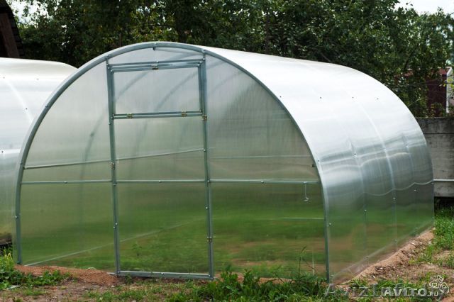           Теплица - Изображение #1, Объявление #1360569