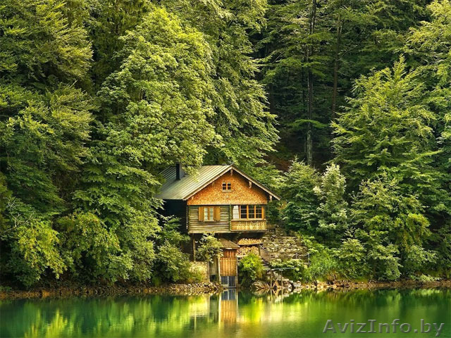 Сниму Дачу,Дом на длительный срок. - Изображение #1, Объявление #1405187