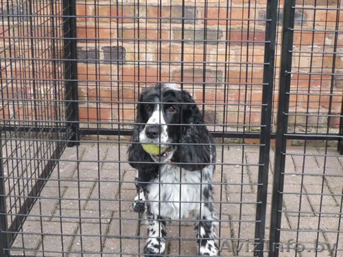 продам Вольер для собак   - Изображение #1, Объявление #1409052