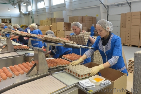 Требуются работницы на птицефабрику - Изображение #1, Объявление #1509876