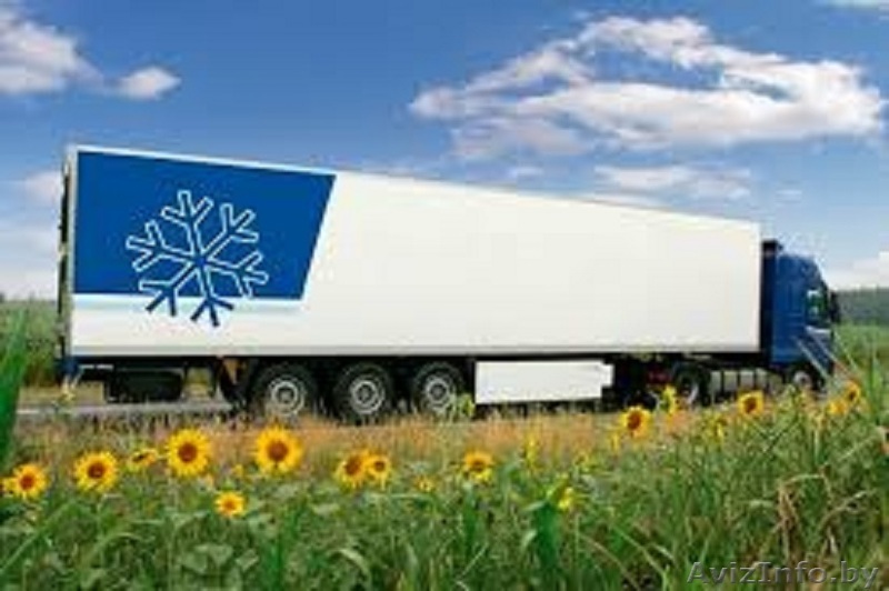 Транспортировка рефрижераторами Могилёв - Изображение #1, Объявление #1515802