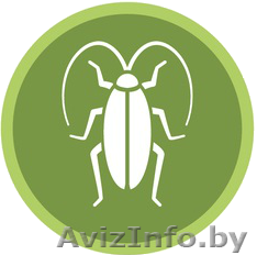 Быстро и эффективно проведет обработку от любых насекомых и грызунов - Изображение #1, Объявление #1573677