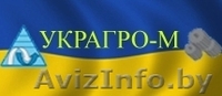  Запчасти к тракторам: МТЗ (МТЗ 80, МТЗ 82), ЮМЗ, ДТ-75, , - Изображение #1, Объявление #175401