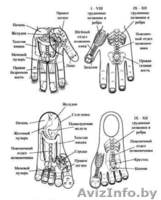 Набор для Су Джок-терапии - Изображение #2, Объявление #161931