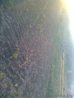 Срочно продаю дачу! - Изображение #7, Объявление #861672