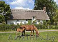 металлочерепица в могилёве - Изображение #7, Объявление #869077