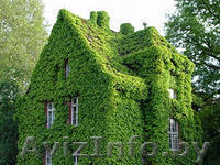 все для крыши.Битумная кровля .битумные черепицы это хороший вариант - Изображение #5, Объявление #611829