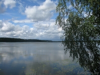 Уютный коттедж посуточно на берегу реки Друть - Изображение #9, Объявление #895947