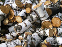 ЧТПУП " Гектор Плюс" продажа - Изображение #1, Объявление #436856