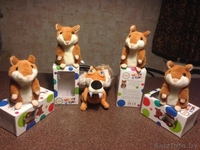 Говорящийх хомяк - Изображение #2, Объявление #971244