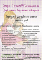 кошка и коты в дар - Изображение #7, Объявление #1039918