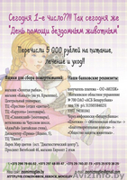 пуся в добрые руки - Изображение #2, Объявление #1039541