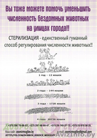 арина в добрые руки - Изображение #2, Объявление #1039540