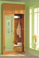 Шкафы в Могилеве - Изображение #3, Объявление #1303043