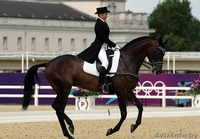 Катание на лошадях, тренажерный зал, сауна - Изображение #2, Объявление #1336538