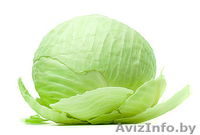 Овощи урожай 2015, опт - Изображение #2, Объявление #1335796