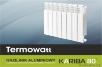 Широкий выбор отопительных котловотопительных приборов, газовых колонок  - Изображение #3, Объявление #1372310