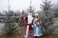 НЕЗАБЫВАЕМОЕ ПОЗДРАВЛЕНИЕ С НОВЫМ ГОДОМ  ОТ ДЕДА МОРОЗА И СНЕГУРОЧКИ!!! - Изображение #2, Объявление #1514566