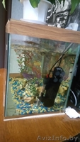 Продам аквариум с оборудованием и декорациями - Изображение #2, Объявление #1520263