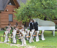 Струнное трио. Музыкальное сопровождение выездных регистраций. - Изображение #2, Объявление #1290718