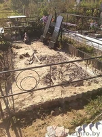 Благоустроим могилу на кладбище в Могилеве - Изображение #8, Объявление #1560287