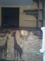 Помещение в центре города в аренду.  - Изображение #4, Объявление #1622346