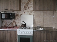 Однокомнатная квартира на сутки,часы пр-т Пушкинский +375291694417 - Изображение #2, Объявление #1302696