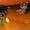 Самые очаровательные йоркширские щеночки! - Изображение #2, Объявление #48589