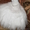 Свадебное платье шикарное. Белоснежное. #700353