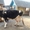 Продается молочная корова!!! - Изображение #1, Объявление #894447