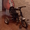 Трехколесный детский велосипед Lexus Trike #1074759