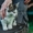 Пушистый любознательный и преданный маленький кот ищет дом - Изображение #1, Объявление #1469022