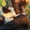 Самая пушистая маленькая кошка в дар - Изображение #4, Объявление #1469023