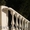 Купить бетонные балясины и перила в Могилеве - Изображение #1, Объявление #1536875