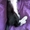 Котеночка черно-белого окраса в дар #1578467
