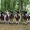 Катание на лошадях, тренажерный зал, сауна - Изображение #6, Объявление #1336538