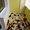 Ремонт и отделка квартир, укладка плитки, ламината - Изображение #4, Объявление #1721289