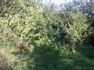 Земельный участок, 25 соток,  с домом,  г.п. Семков городок,  5км. от МКАД