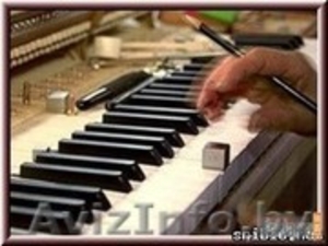 фортепианный настройщик  333253656