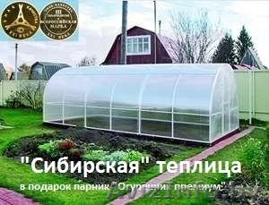Сверхпрочная «Сибирская теплица» парник 8х3х2. (с подарком)..
