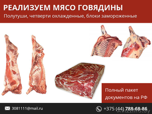 Мясо говядины по выгодным ценам. - Изображение #1, Объявление #1480141