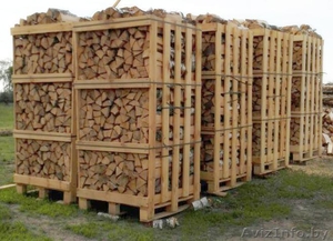 Колотые дрова: дубовые, берёзовые, хвойные (ель/сосна) - Изображение #7, Объявление #1484110