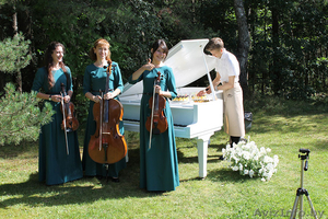 Струнный квартет,  трио,  дуэт. Музыка для праздника.