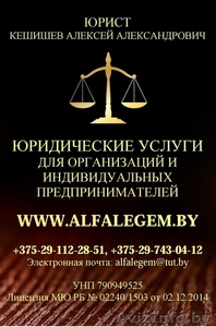 Представление интересов. Юрист в Могилеве - Изображение #1, Объявление #1284208